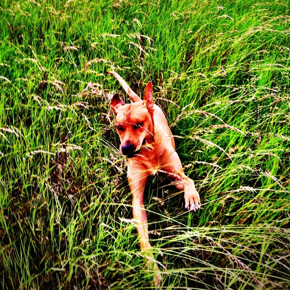 Meet your Posher, Lesa